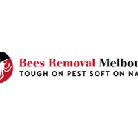 Bees Removal  Melbourne